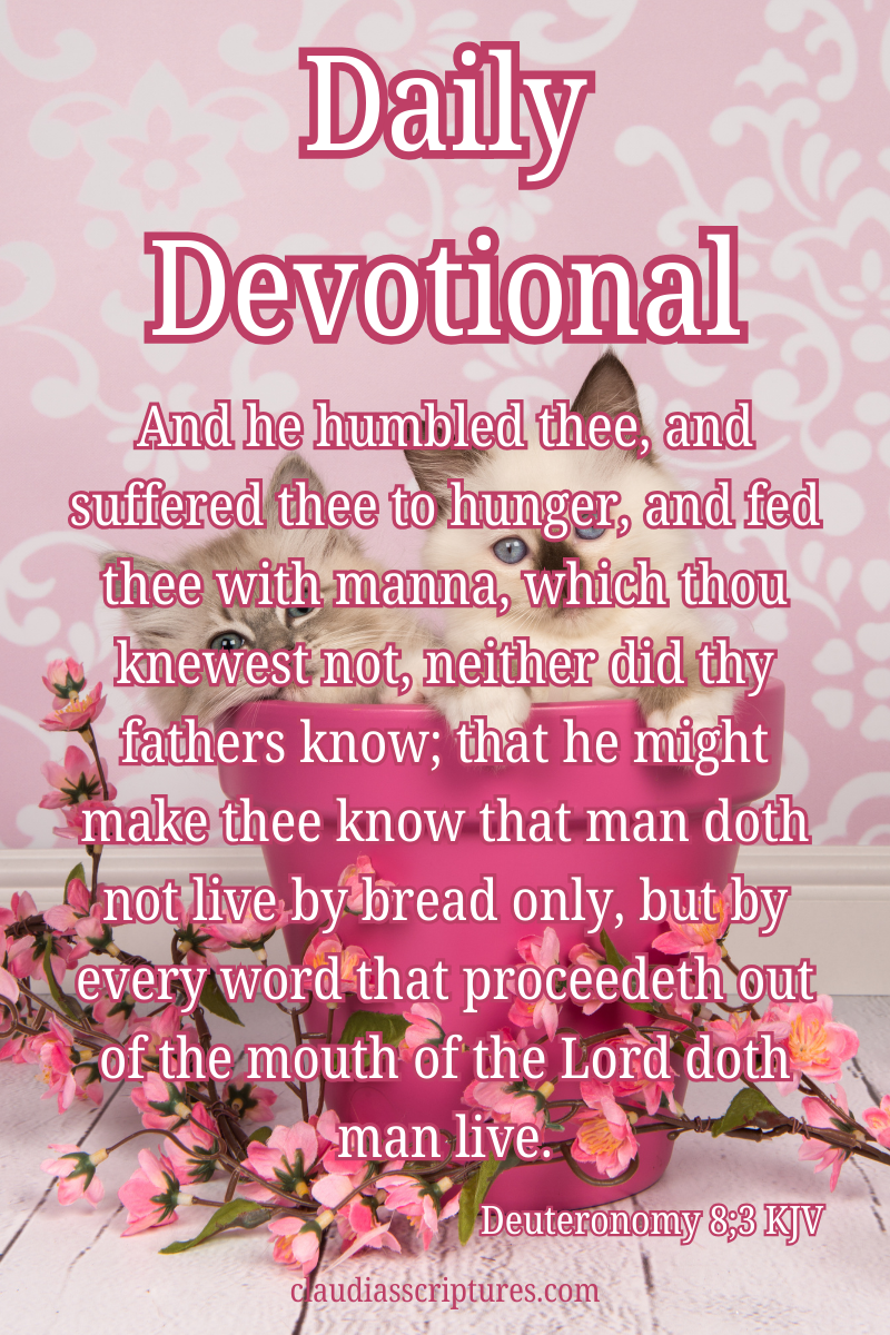 Deuteronomy 8:3 Daily Devotional KJV