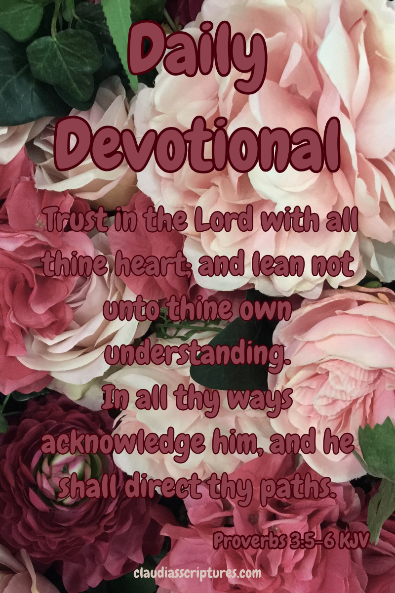 Proverbs 3:5-6 Daily Devotional KJV